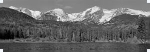 Sprague Lake, Rocky Mountain National Park - Moose Trio