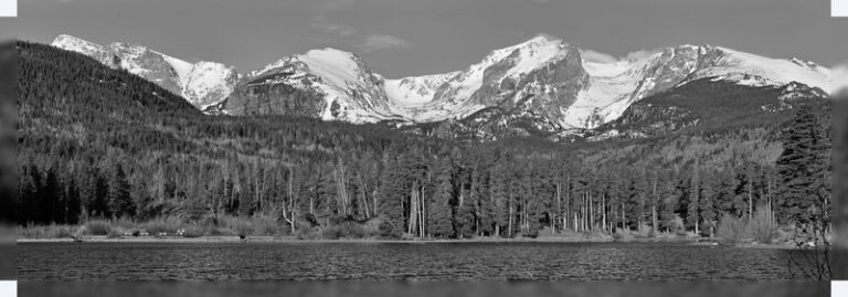 Moose_in_Sprague_Lake
